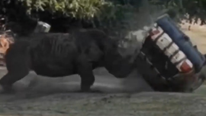 Lucie Vondráčková