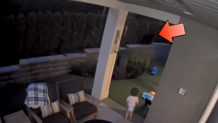 Rodinu na dvore prekvapil medveď, dieťa sa za ním nadšene rozbehlo