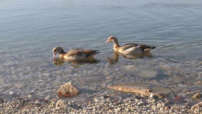 Sestry Petra Molentová a Veronika Vachová.