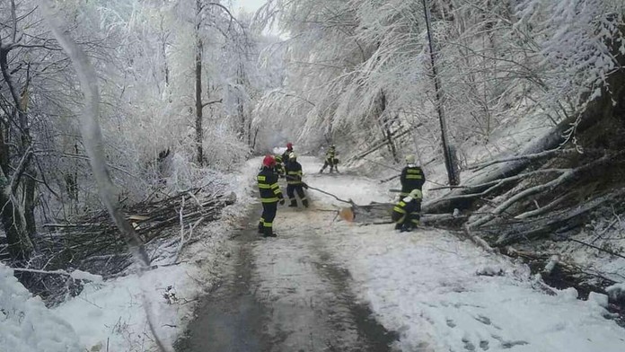 Angličtina v podaní Petry Palúskovej.
