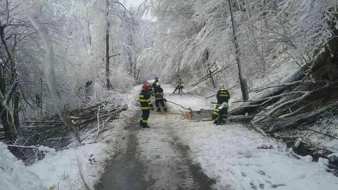 Angličtina v podaní Petry Palúskovej.