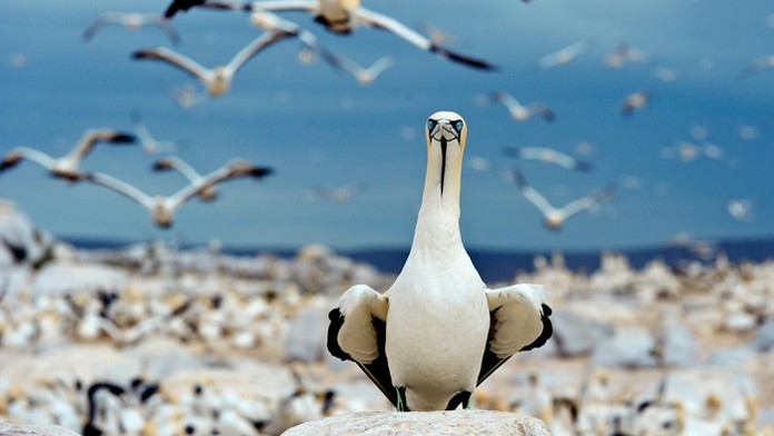 Ilustračná snímka