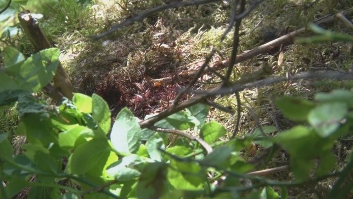 Miesto, kde našli ležať zakrvaveného muža