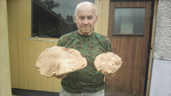 Dubáky, ktoré našiel pán Peter Benčík.