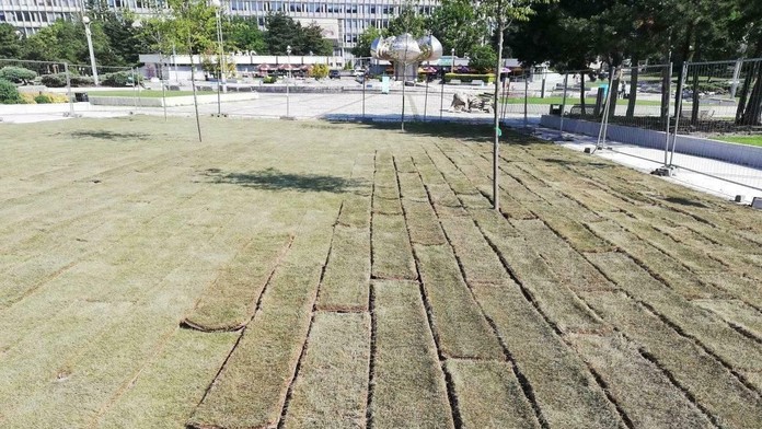 Trávnatý koberec na Námestí slobody je úplne vysušený.