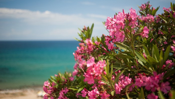 Ilustračná snímka.