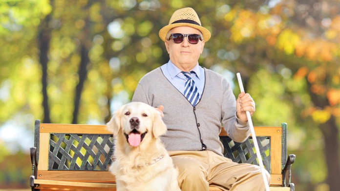 Nevidiaci muž so psom - ilustračná snímka.