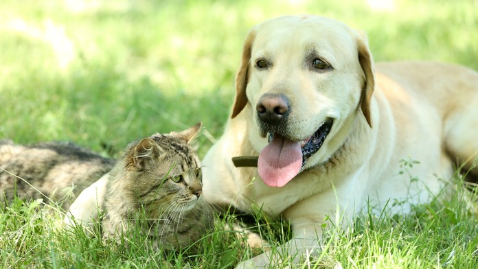 Ilustračná snímka.