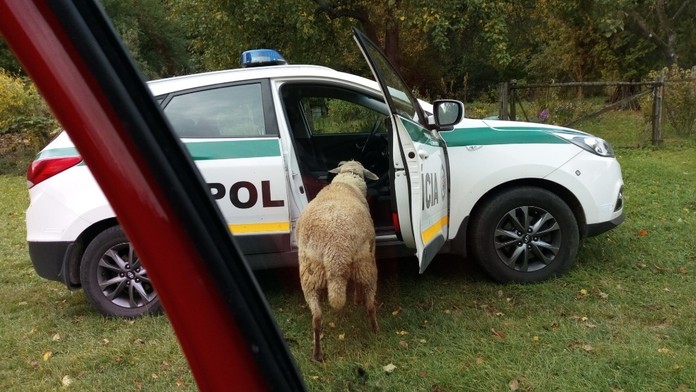 Pred baranom utekali aj záchranári a policajti.