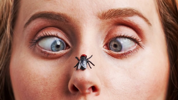 Jednoduchý trik, ako vybabrať s dotieravými muchami. Vhodným umiestneným týchto rastlín sa ich zbavíte raz-dva