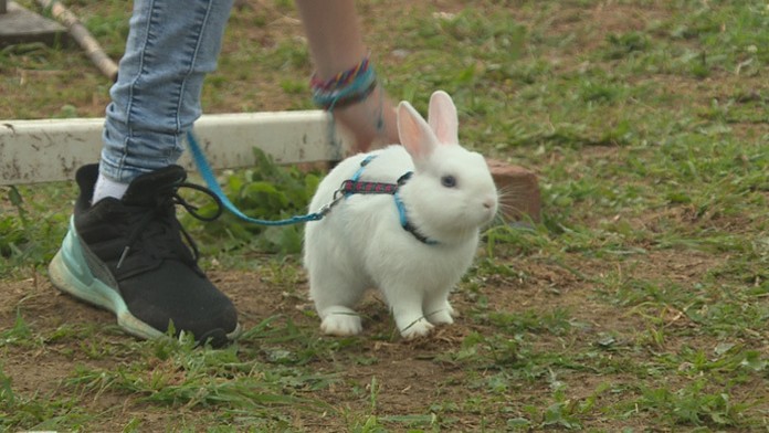 Saša Gachulincová a tanečnice z Ladylicious