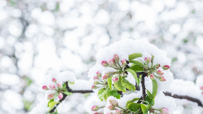 Ilustračná snímka