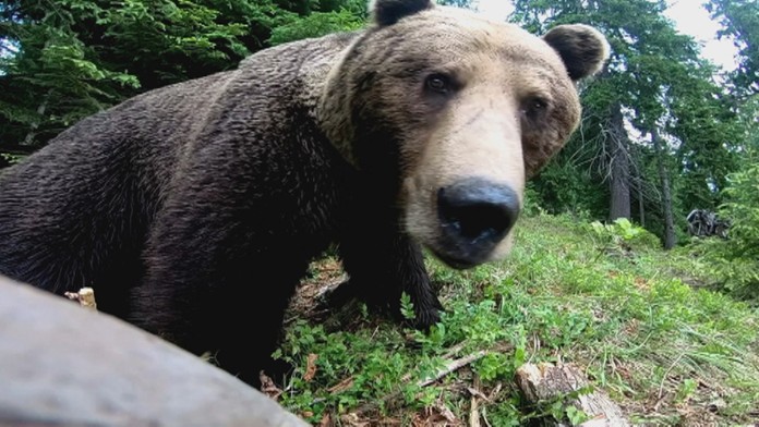 Reportérka Gabriela Kajtárová v Bielom dome.