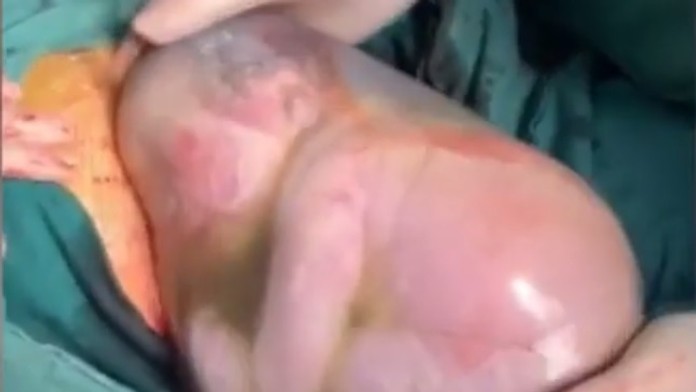 19_matulaj_tvnoviny.mp4