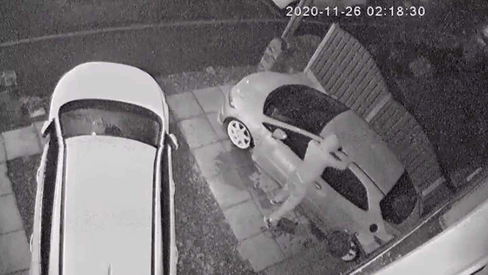 Drzé belugy sa pustili do potápača. Ukradli mu plutvy