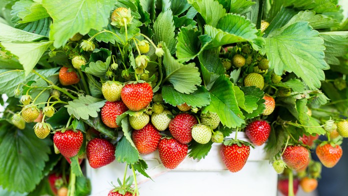 Ilustračná snímka.