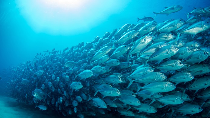 Ilustračná snímka. 