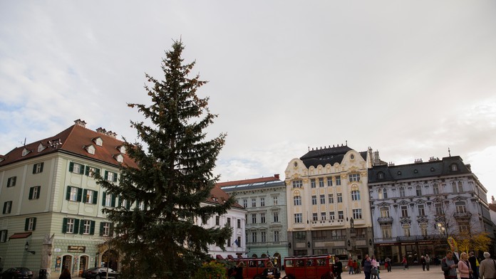 Vianočný stromček.