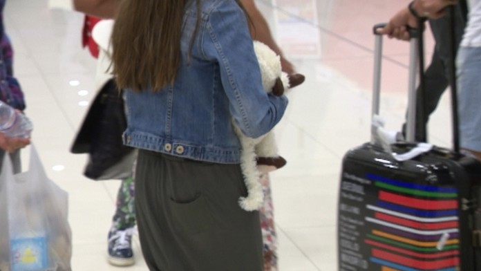 Žartík pripomínal teroristický útok z Tuniska