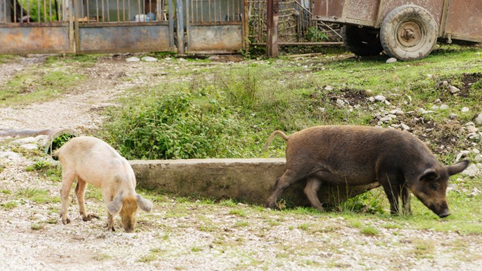 Ilustračná snímka.