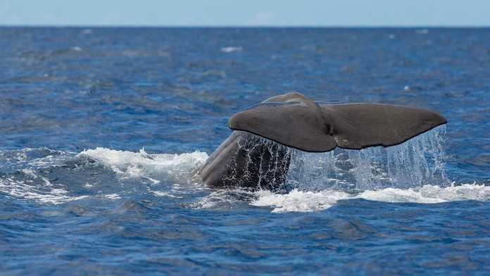 Ilustračná snímka. 