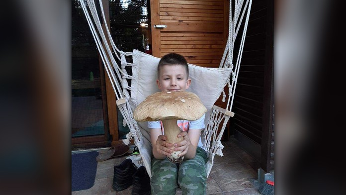 Marek spolu so synom našli veľký dubák na východe Slovenska.