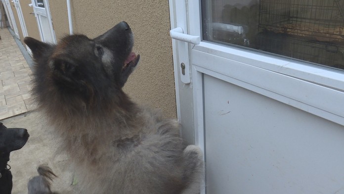 Ľubomíra Fábryová.