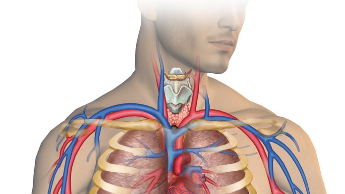 Ilustračná snímka. 