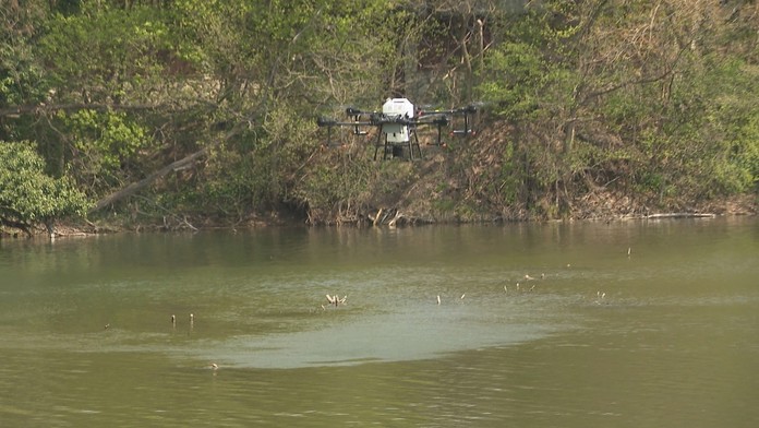 Na lokalizáciu liahnísk využívajú aj drony.
