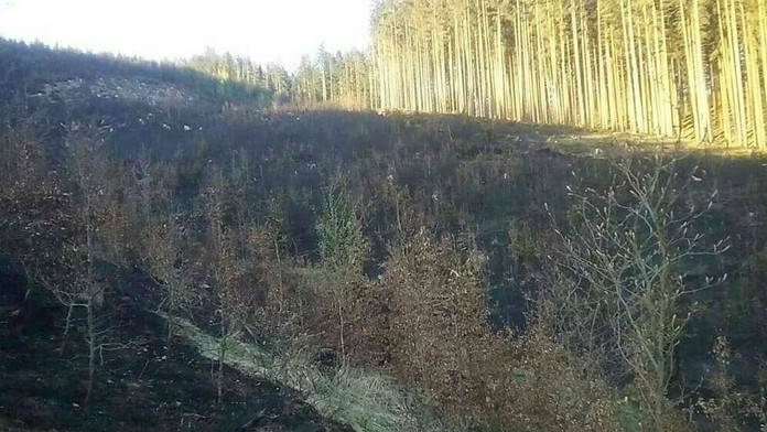 Požiar pri obci Makov.