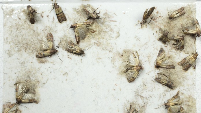 Ilustračná snímka.