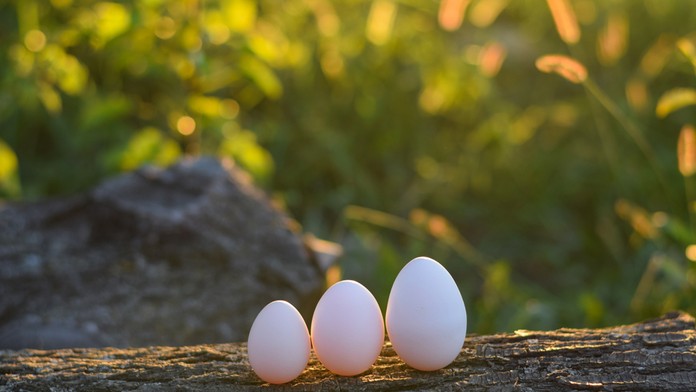 Ilustračný záber.