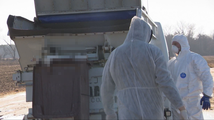 V Košiciach potvrdili vtáčiu chrípku