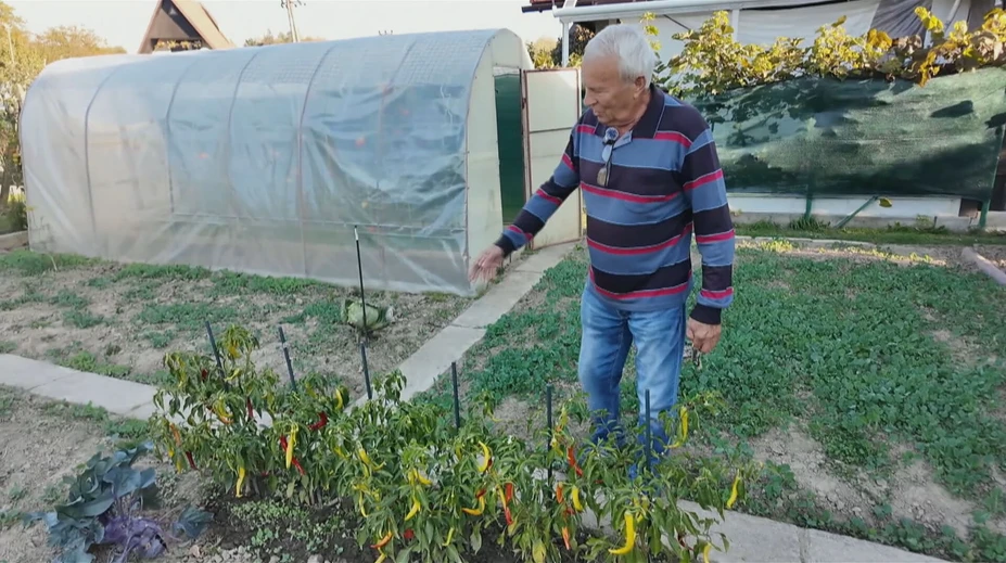 Senior zo Svidníka je príkladom ukážkového záhradkára. Ukázal nám, ako skladuje úrodu