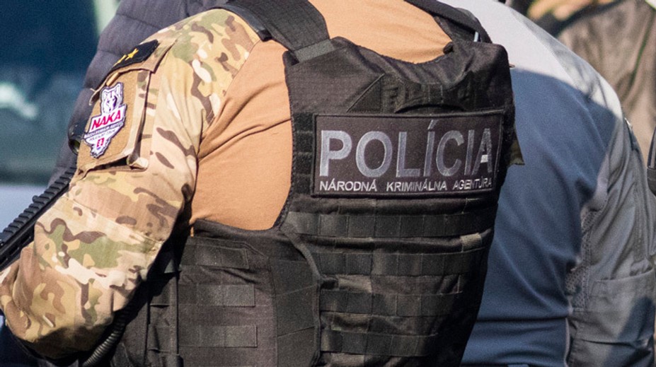 NAKA zasahovala na pozemku exmanželky milionára