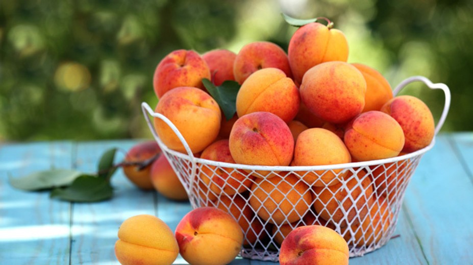 Dozrievajú marhule: Po roku si zopakujte klasiku, skúste aj zaujímavý recept šéfkuchára