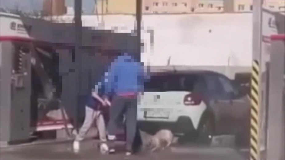 Psíka sa rozhodli umyť v autoumyvárke v Prievidzi. Reakcia zverolekára je jednoznačná