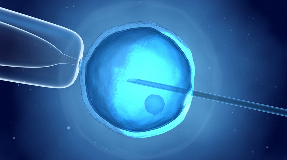 Asistovaná reprodukcia? Môže, ale nemusí vyjsť na prvý ani na desiaty pokus