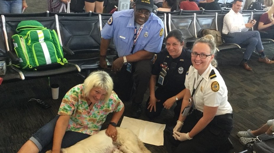 Sučka labradora spôsobila na letisku poriadny rozruch. Porodila tam osem šteniatok