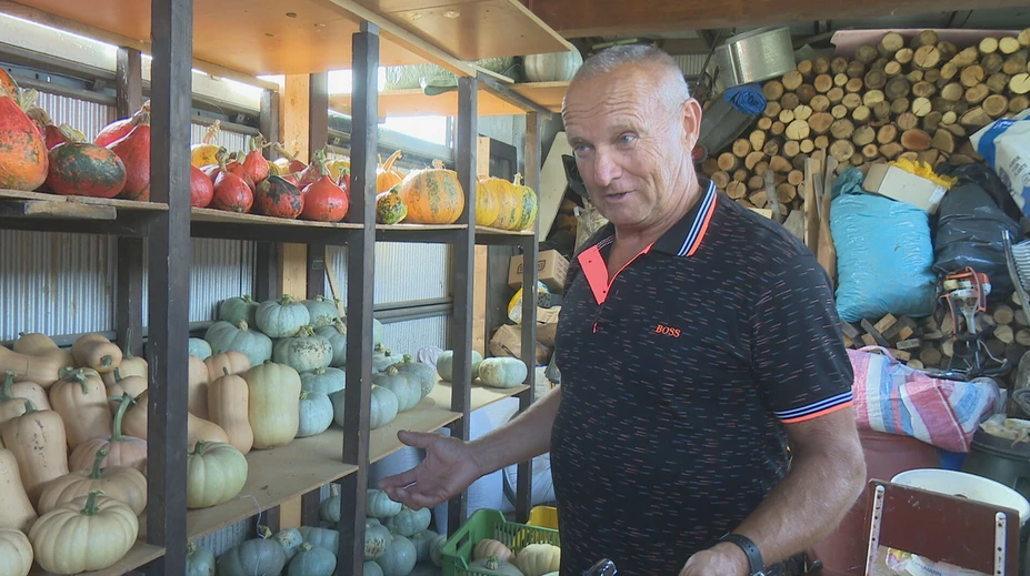 Vypestoval tekvicu s hmotnosťou 233 kilogramov. Úspech je podľa neho hotová alchýmia