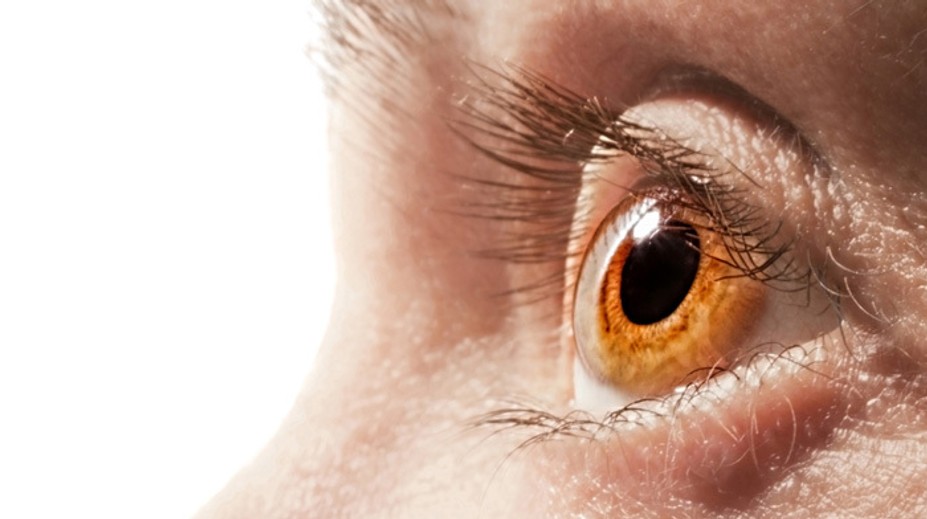 Ktorý odtieň je najtmavší? Test vám prezradí, či nie ste farboslepí