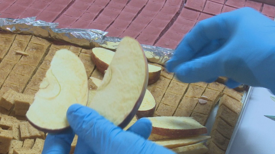 Rodiny si ovocie aj zeleninu sušia mrazom. Odhalili tajomstvo svojho spracovania