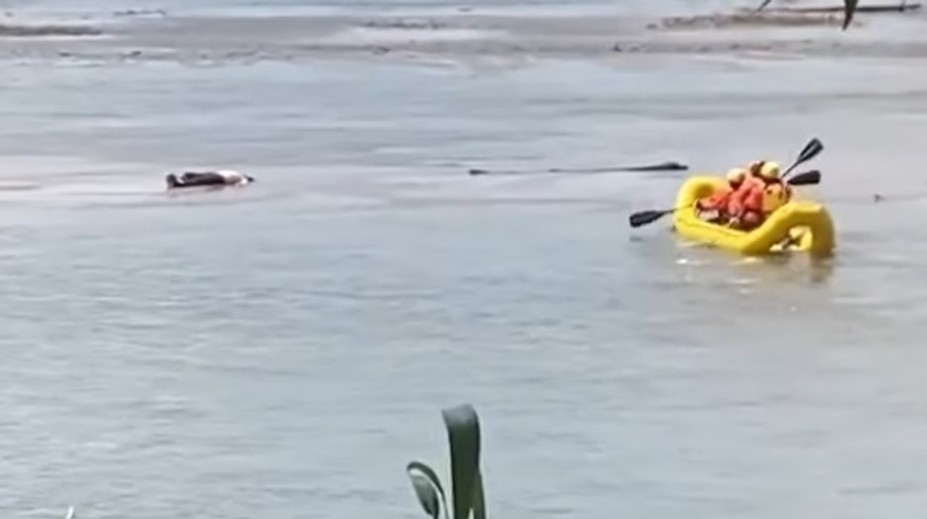 VIDEO: Ľudí vystrašilo vo vode nehybné telo. Záchranári zostali v šoku, keď sa pohlo