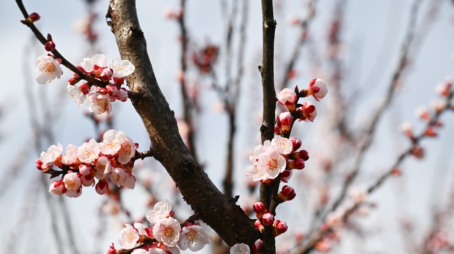Počasie na Veľkú noc: Teploty sa vyšplhajú poriadne vysoko