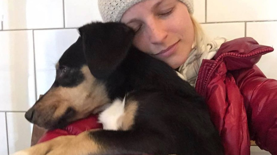 Stal sa zázrak. Psík, ktorého hľadalo celé Slovensko, sa našiel živý