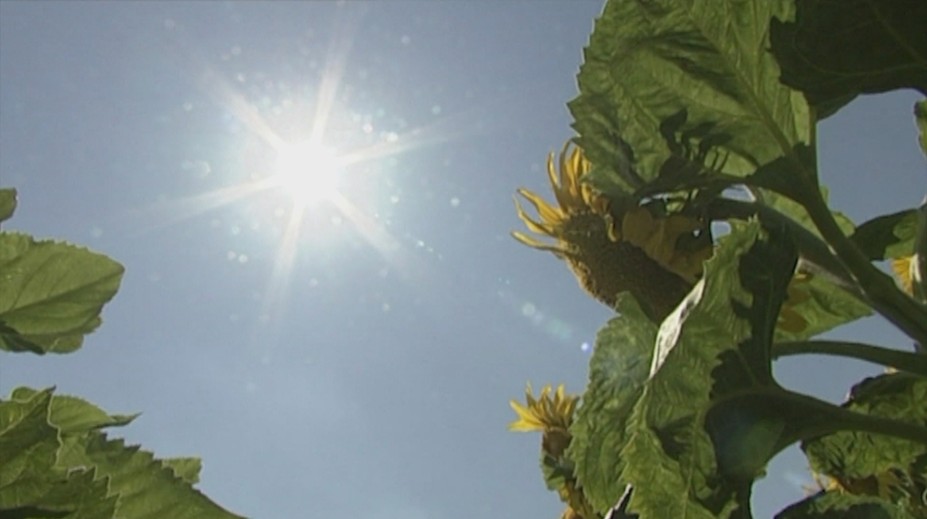 Jar okolo nás iba preblesla. Všetko dozrieva skôr a kvalita plodín je mizerná
