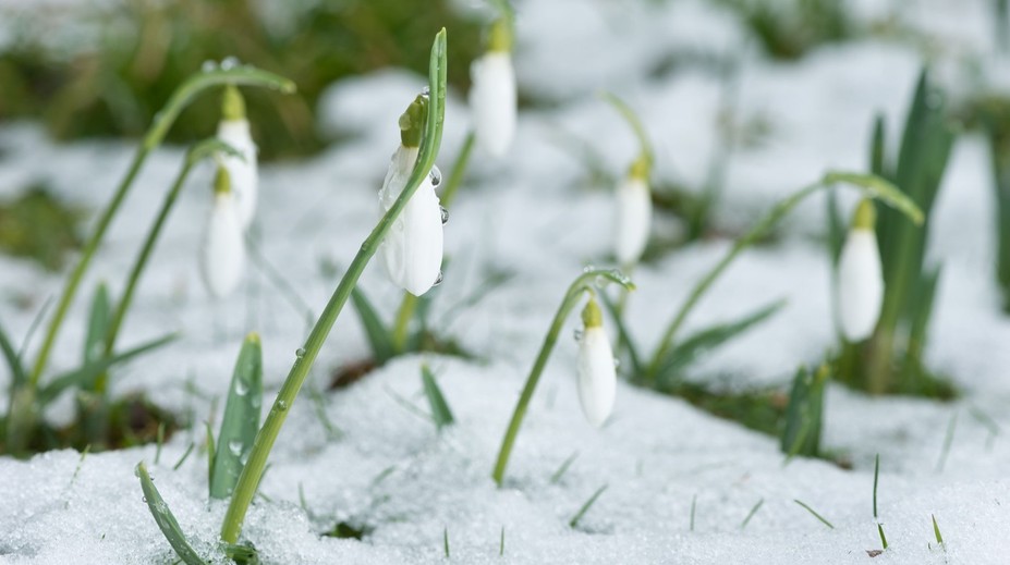 VIDEO: Po jari niet ani stopy. Na Liptove sneží