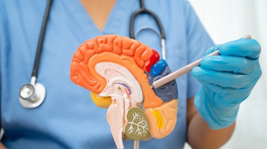 Jeden drobný zlozvyk môže mať vážne následky. Vedci varujú pred rizikom demencie