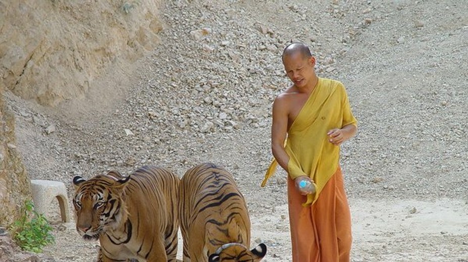 Jedna z najväčších atrakcií Thajska čelí nevídanému škandálu