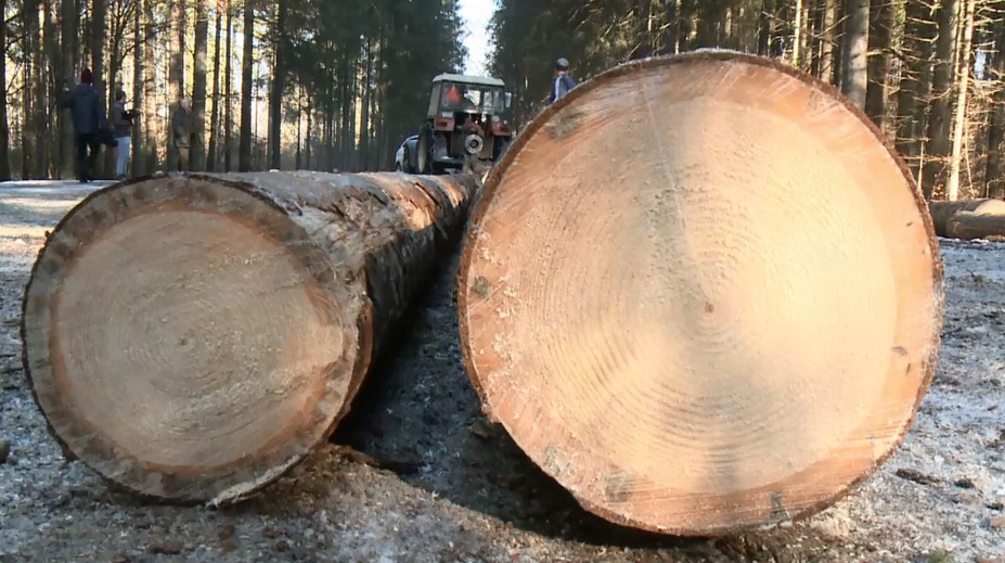 Breznom otriasa škandál! Starosta tvrdí, že zaň môžu lesníci